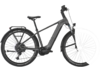 BULLS ICONIC EVO 2 quantum silver matte 29 Zoll L