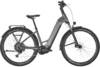 BULLS ICONIC EVO 2 quantum silver matte 29 Zoll M